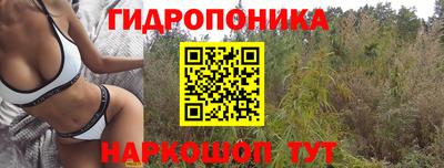 синтетический гашиш Лесосибирск