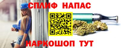 гашик Ливны
