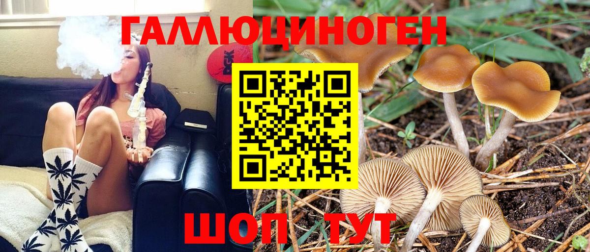 Псилоцибиновые грибы Magic Shrooms Тутаев