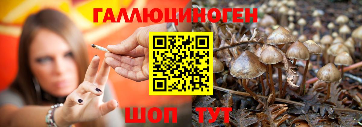 Псилоцибиновые грибы Magic Shrooms Тутаев